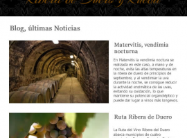 Diseño de newsletter para bodega