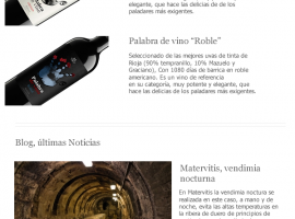 Diseño de newsletter para bodega