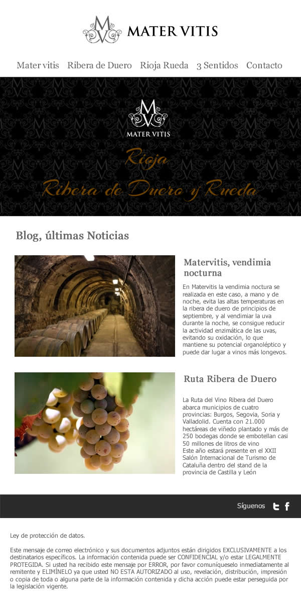 Diseño de newsletter para bodega