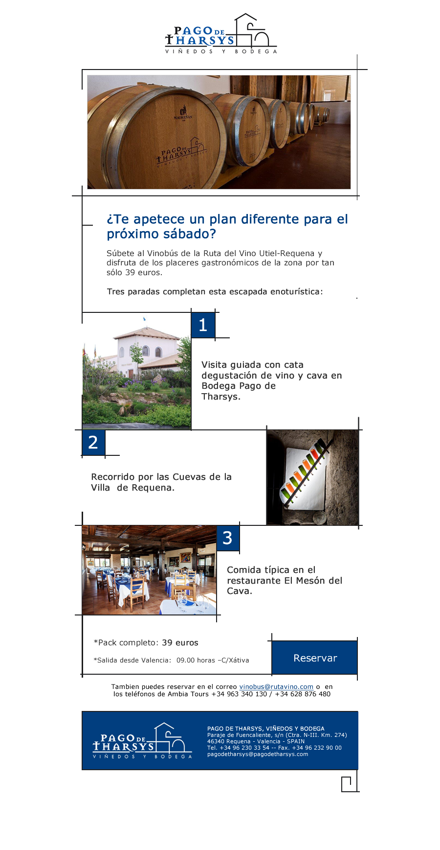 Diseño de newsletter para bodega Pago de Tharsys