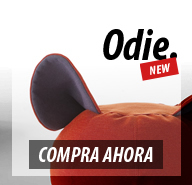 Diseño de banner de promoción de producto Odie