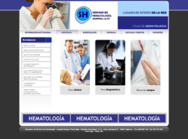 Programación Web Valencia Servicio Hematologia LaFe