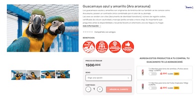También aventuras Nosotros mismos Desarrollo y diseño web de la tienda de animales online Bambuclic - Jose  Bernalte